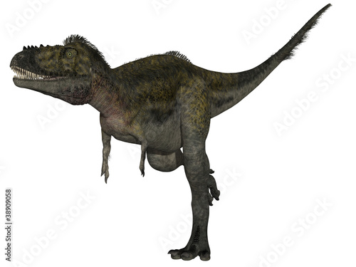Alioramus - 3D Dinosauier © Andreas Meyer