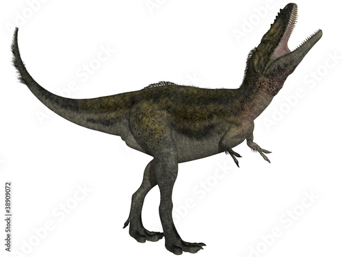 Alioramus - 3D Dinosauier © Andreas Meyer