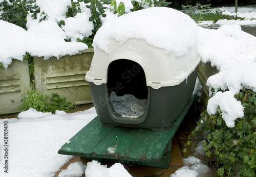 Quadro su tela doghouse and snow