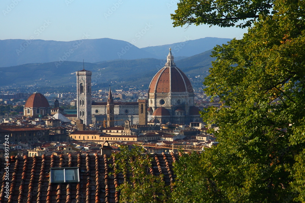 Fototapeta premium Florence: vue du ciel