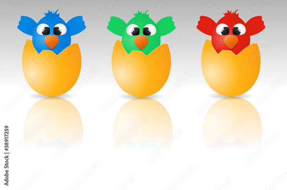 bird egg bird egg
