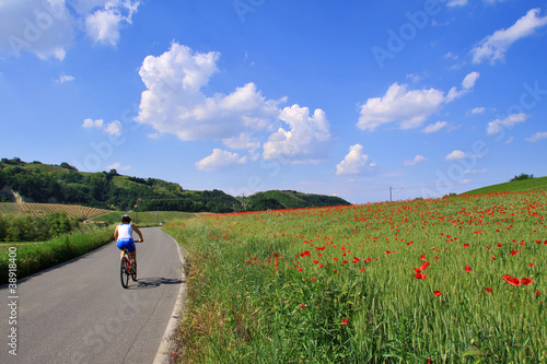 Tableau sur toile Vigolo Marchese, Castell'Arquato, campagna