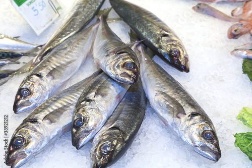 fresh fishes fish market photo