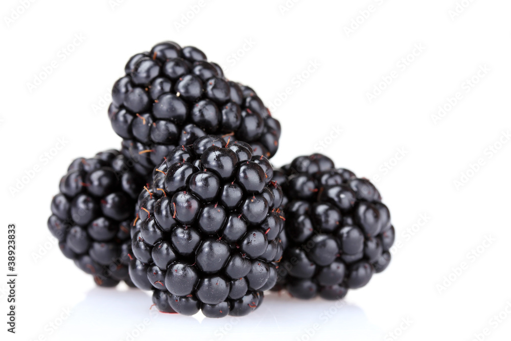 Ripe blackberries isolated with a white Ripe blackberries isolated with a white