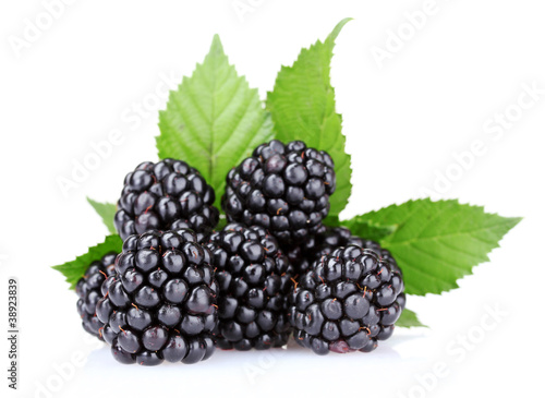 Ripe blackberry isolated on white