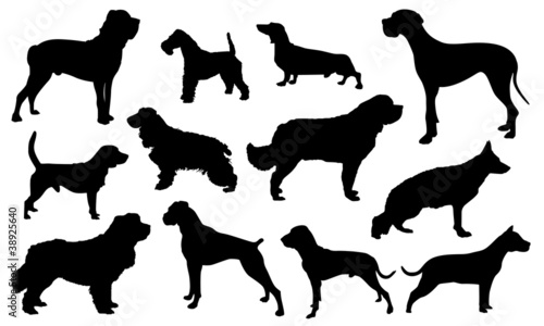 silhouette