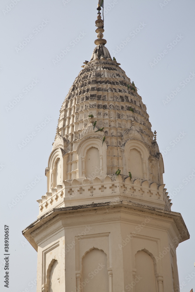 India, tower with parrots