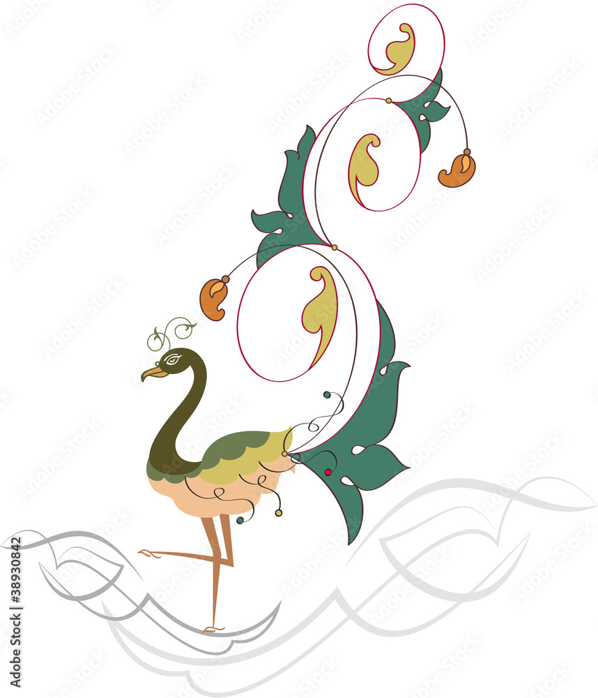 Fototapeta premium Peacock Hand drawn