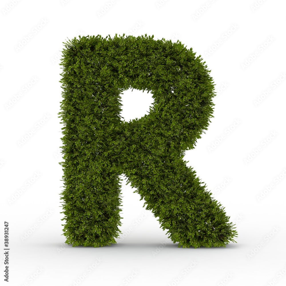 Buchstabe R Natur Buchstabe R Natur