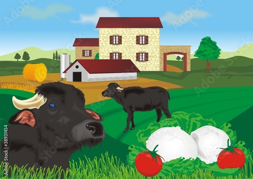 fattoria campana - mozzarella