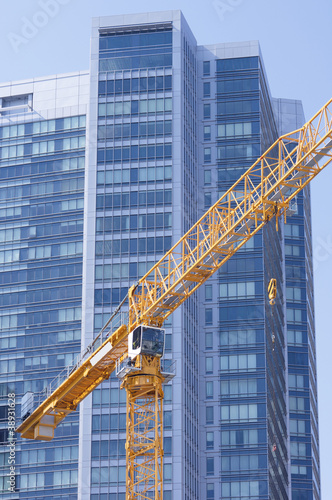 Photography yellow crane