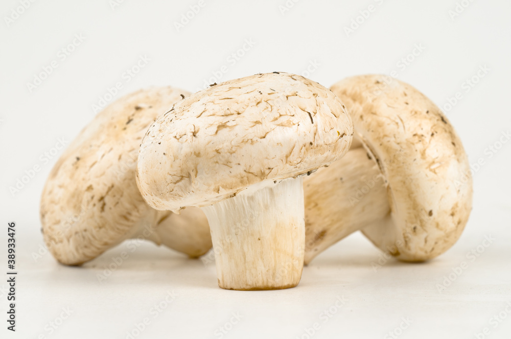 Cooking ingredients, Three fresh mushrooms champignon Cooking ingredients, Three fresh mushrooms champignon
