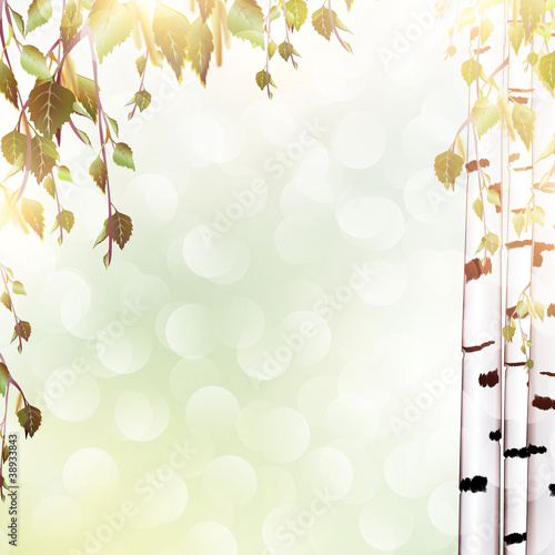 summer background with birch