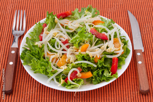 salad with bean sprouts