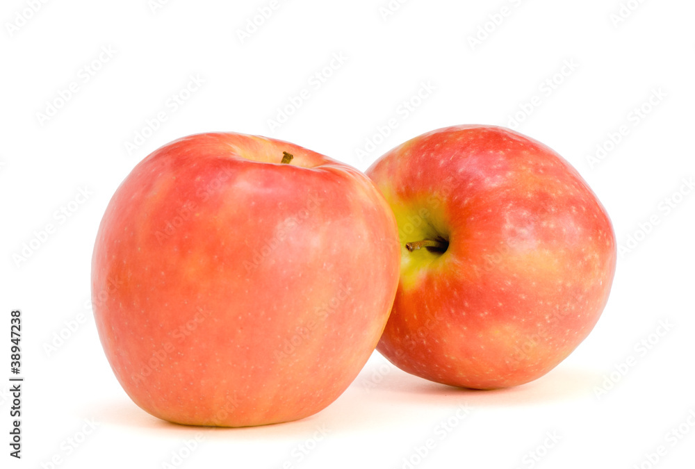 Two apples Pink Lady