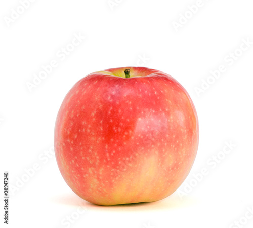 Lonely apple Pink Lady