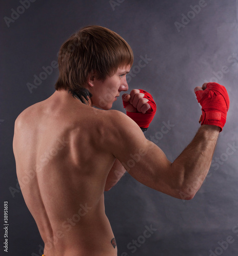Portrait of boxer © opolja