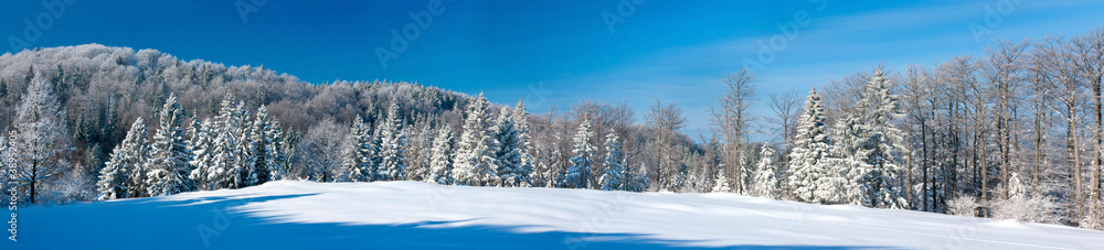 Fototapeta premium Winter panorama