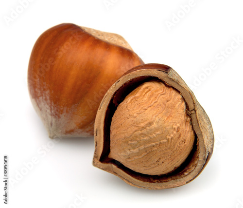 Photos Dried filbert nuts