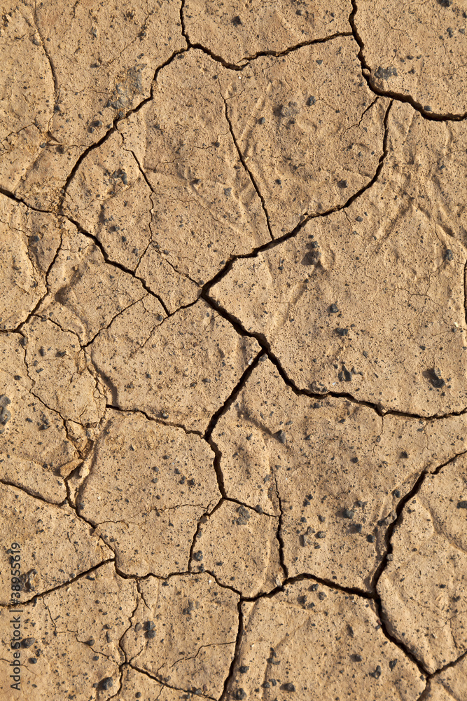 Fototapeta premium Dry cracked earth texture