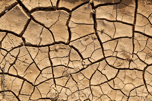Slika na platnu Dry cracked earth texture