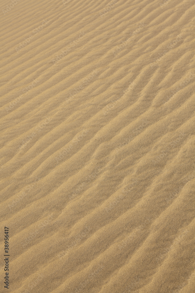 Sand Dune Texture Sand Dune Texture