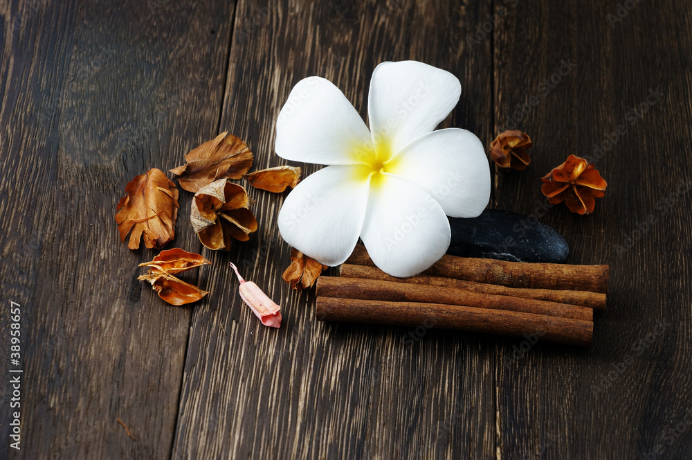 Spa and Wellness Spa and Wellness