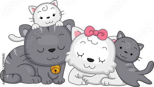 Cat Family