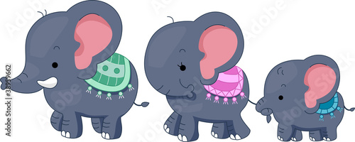 Elephant Family