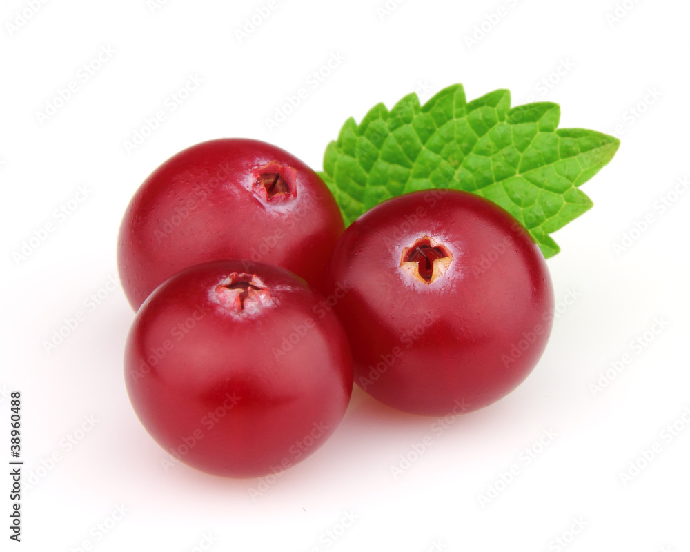 Cranberry with melisa