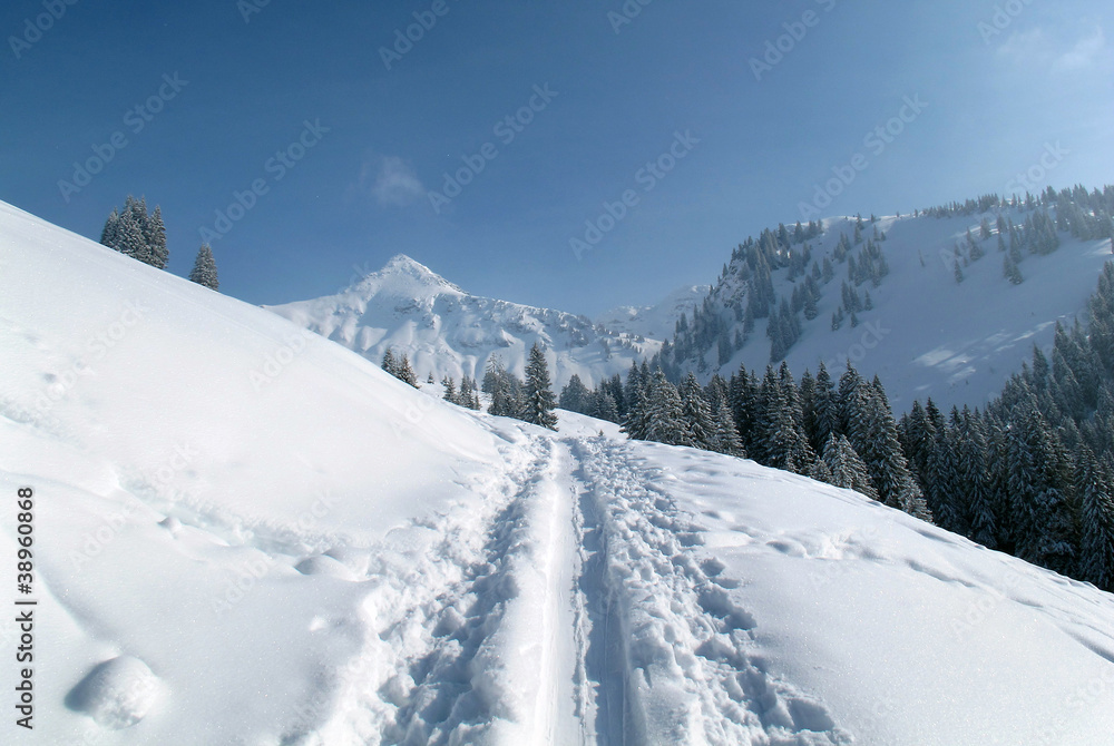 Winter in Tirol