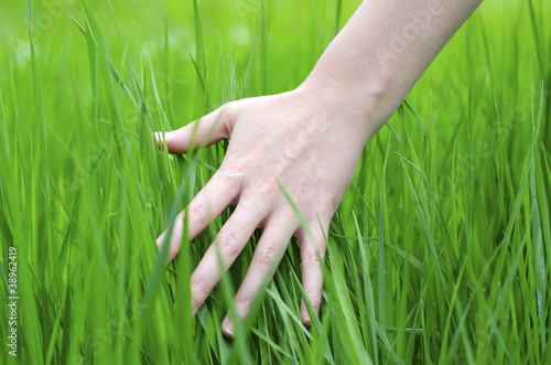 hand and grass © tycoon101