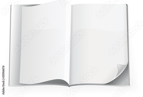 blank book open