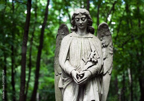 cemetery angel © Morgenstjerne