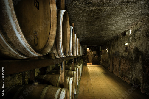 Obraz na plátně Barrique Cellar