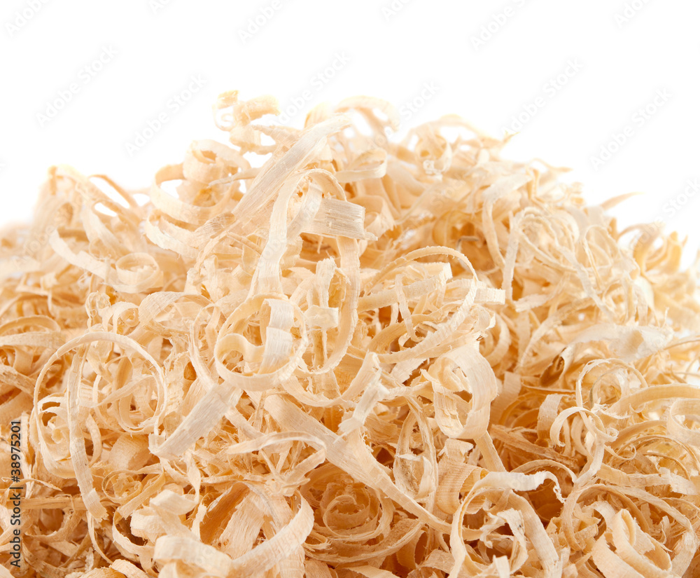 Wood shavings on white background with copy space Wood shavings on white background with copy space
