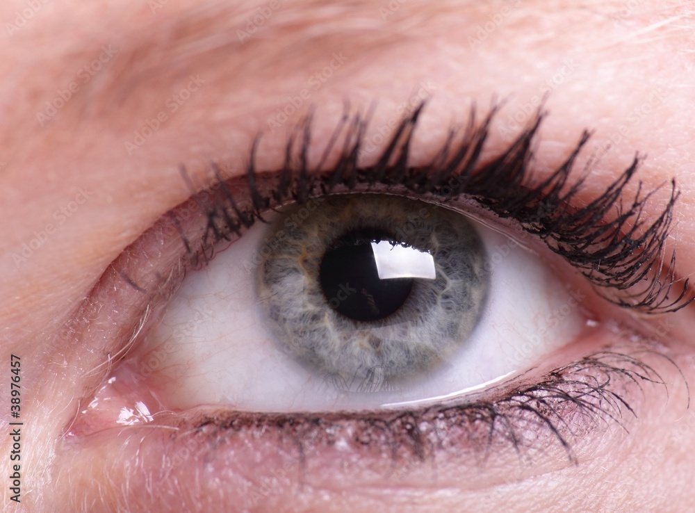 Fototapeta premium Weibliches Auge