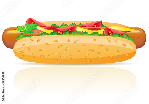 hotdog vector illustration