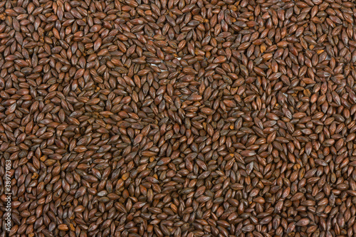 Malt background