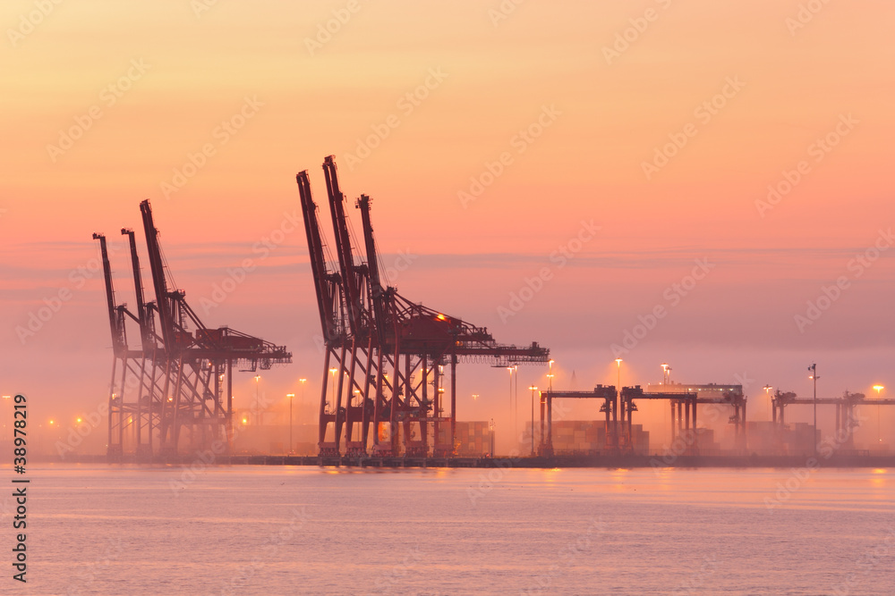 Port of Vancouver Cranes, Morning Fog