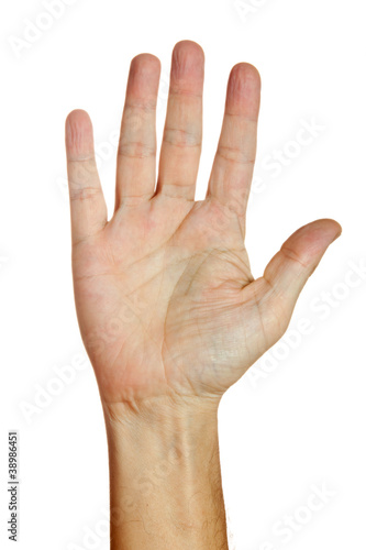 Hand - fünf Finger - freigestellt
