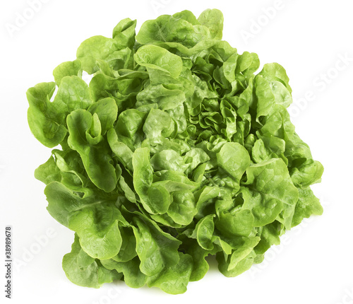 Kopf Salat - Bio