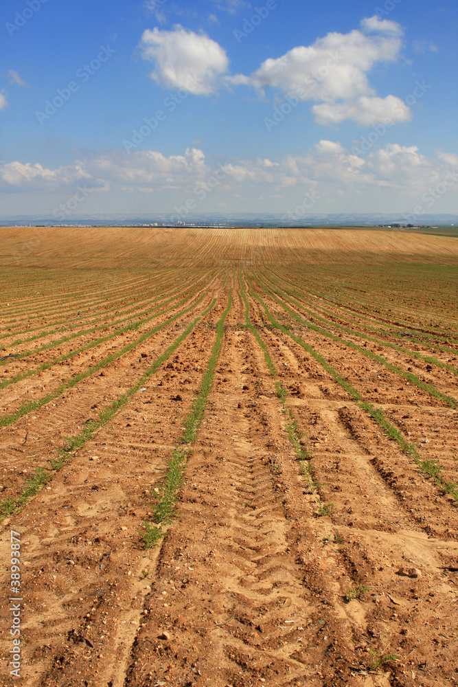 Agricultural field Agricultural field
