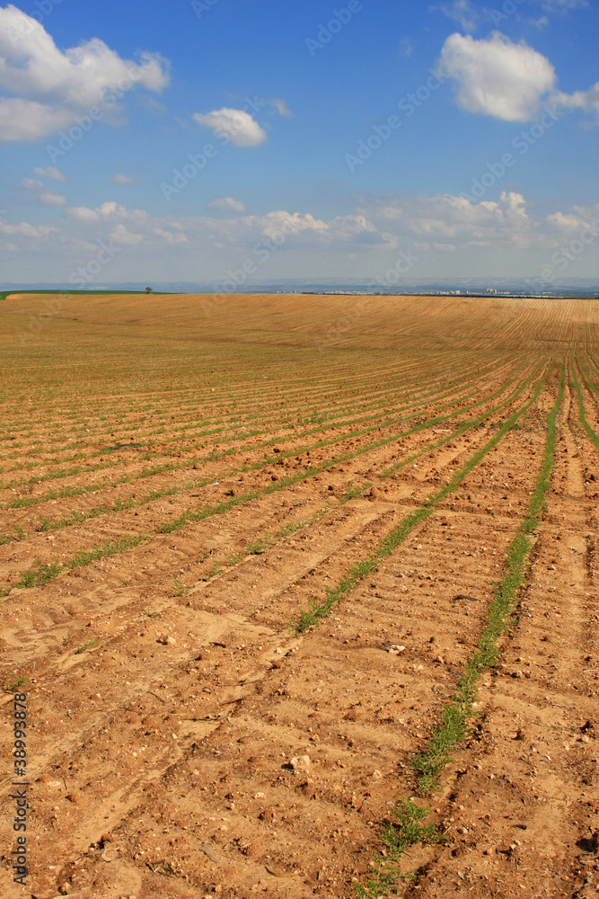 Agricultural field Agricultural field