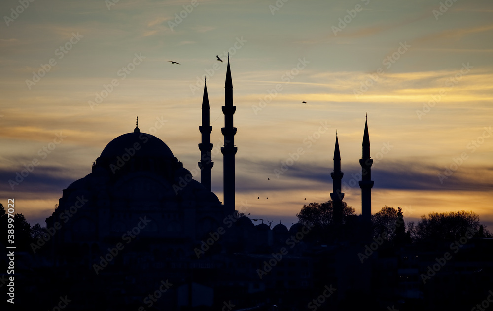 Suleymanie Mosque Silhouette in Istanbul