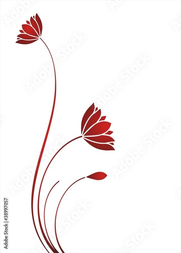 Fototapeta Naklejka Na Ścianę i Meble -  water lily plant , background , India