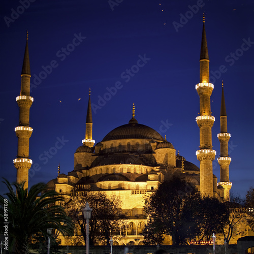 The Blue Mosque at Night in Istanbul Turkey