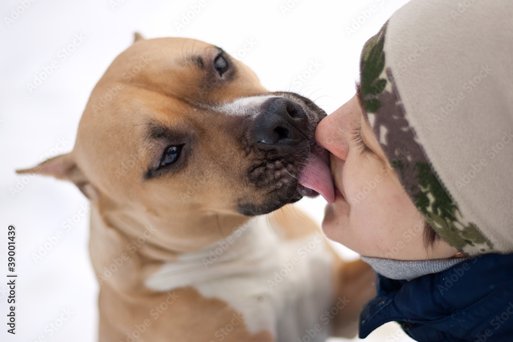 Dogs