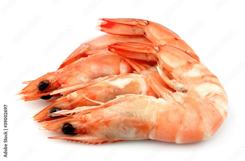 shrimps close up