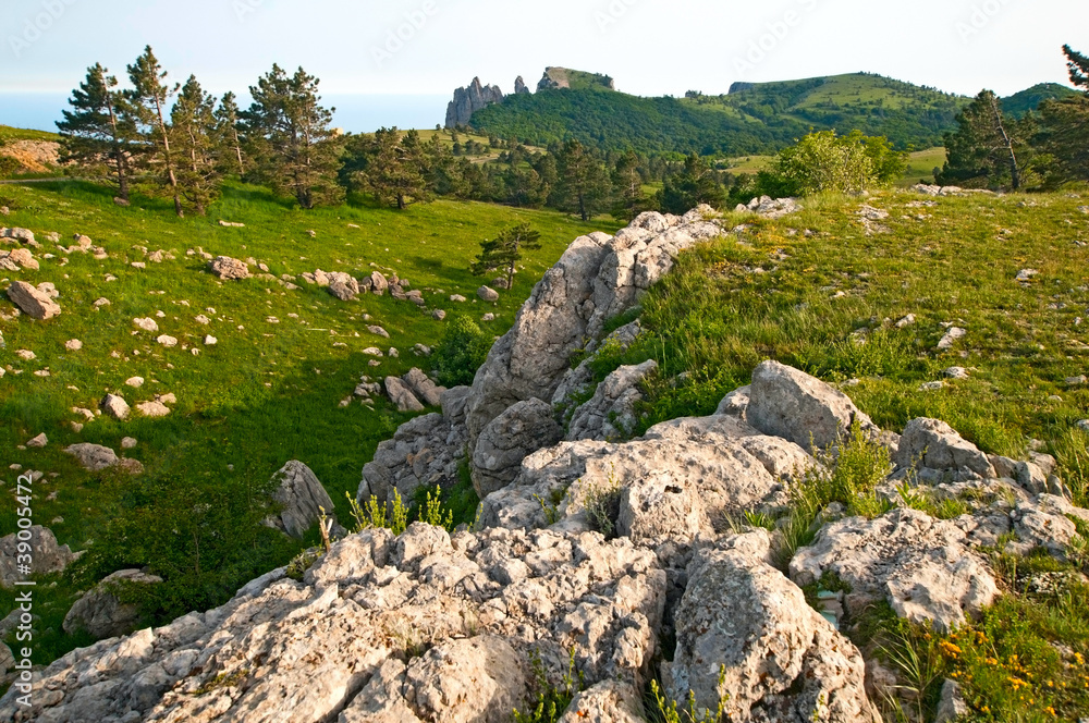 the view on Ai-Petri mountain, Ukraine
